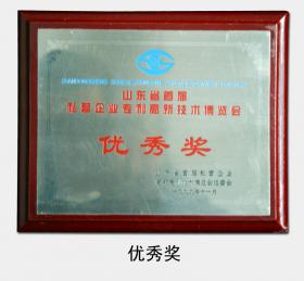 1999年被評為“山東省首屆私營企業(yè)專利高新技術(shù)博覽會(huì)優(yōu)秀獎(jiǎng)”